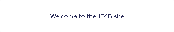 Welcome to the IT4B site